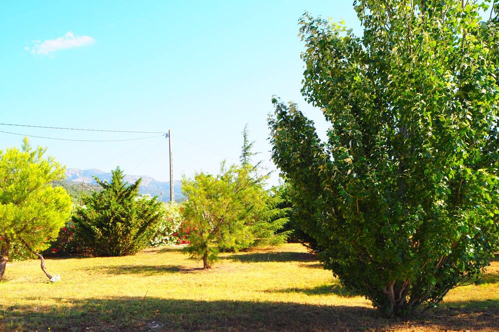 Photo of Outdoor in Tortosa