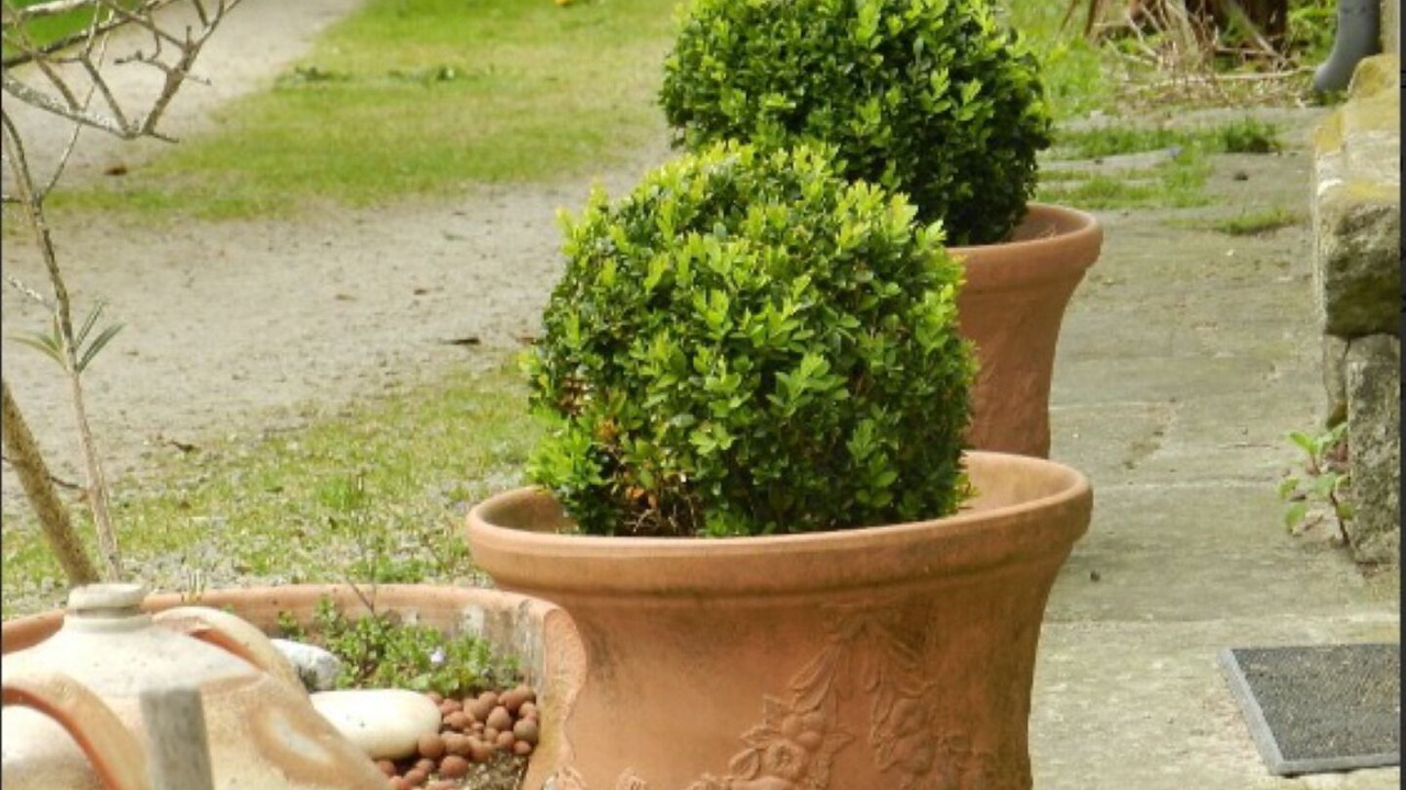 Photo of Outdoor in Cleden-Cap-Sizun