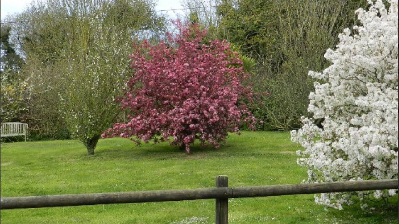 Photo of Outdoor in Cleden-Cap-Sizun