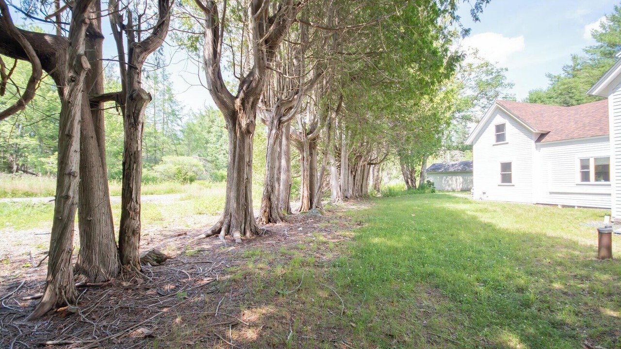 Photo of Outdoor in Sedgwick