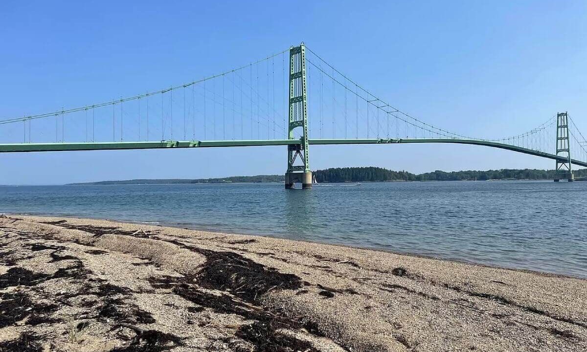 Photo of Others in Sedgwick