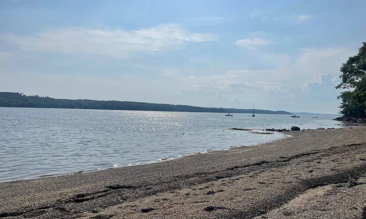 Photo of Others in Sedgwick