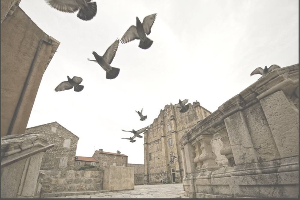 Photo of Others in Ploce