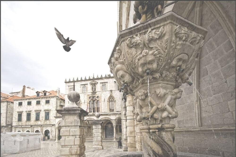 Photo of Others in Ploce
