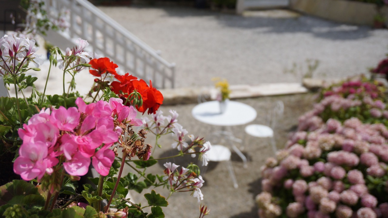Photo of Patio Balcony in Sainte-Honorine-des-Pertes