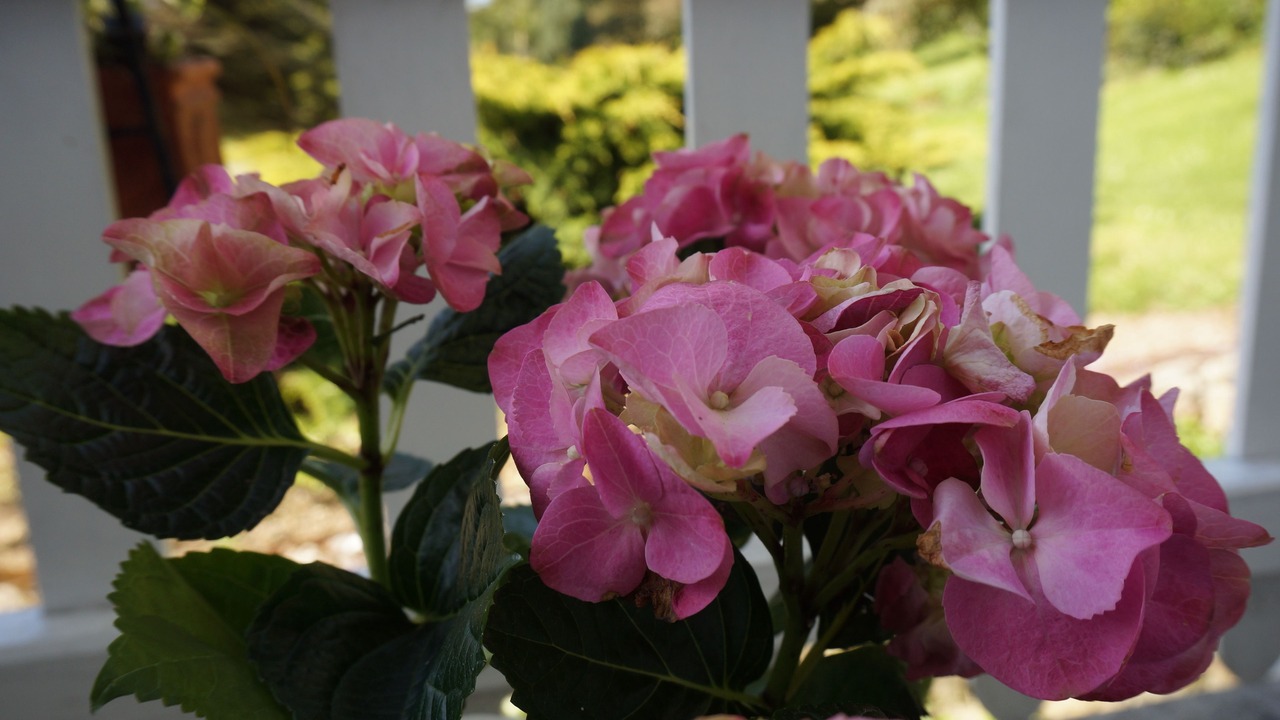 Photo of Others in Sainte-Honorine-des-Pertes