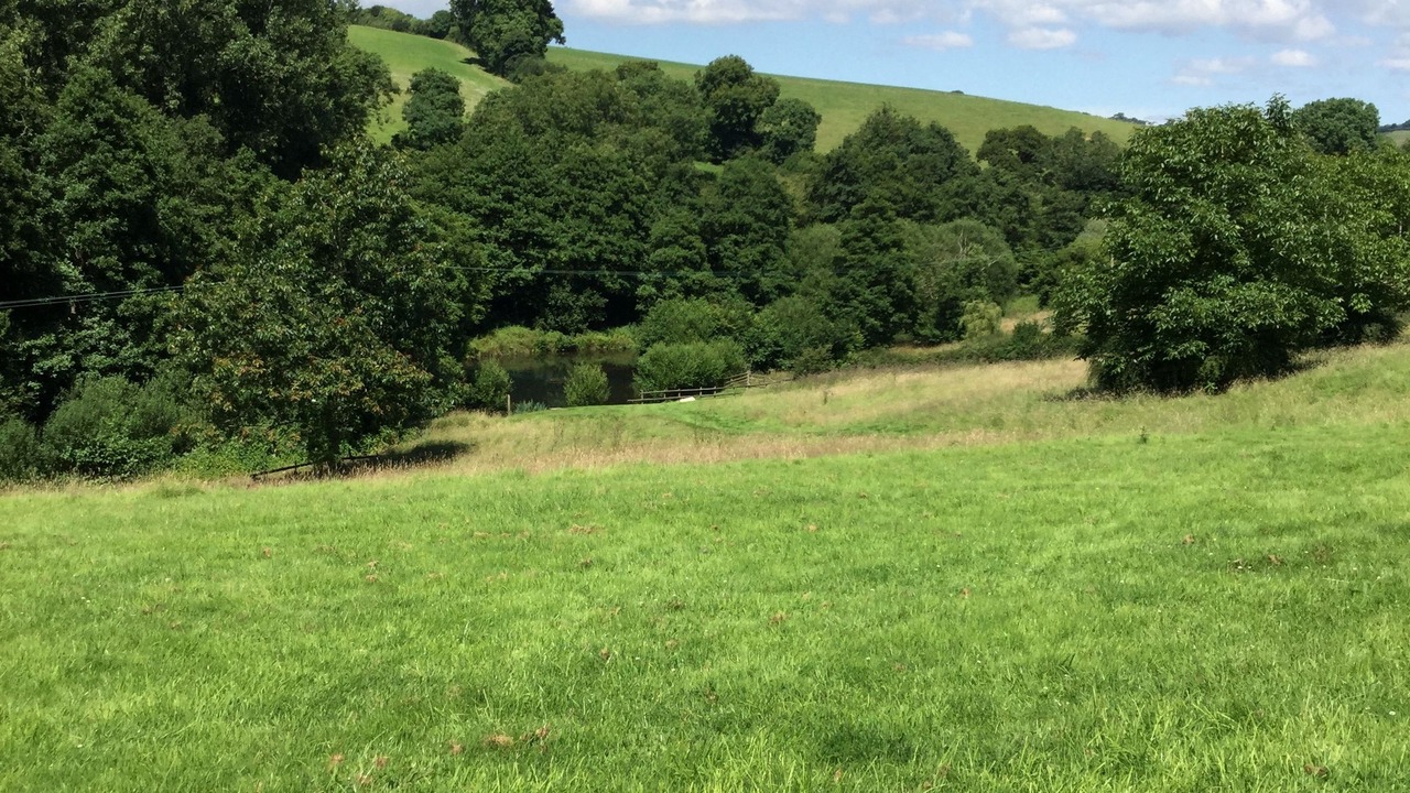 Photo of Outdoor in Bridport