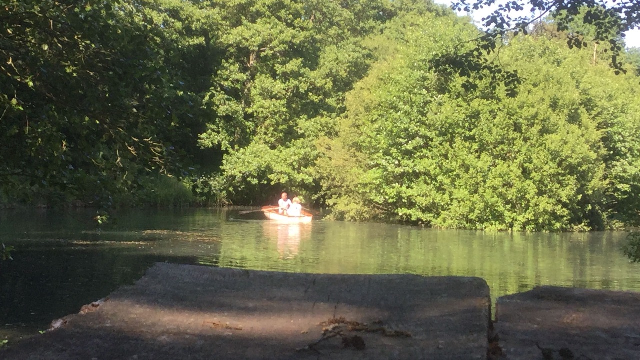 Photo of Outdoor in Bridport