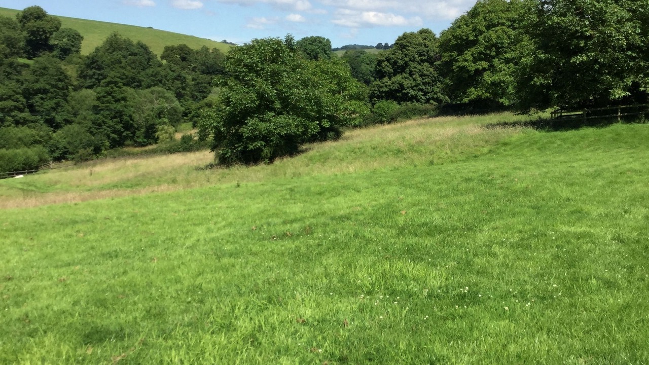 Photo of Outdoor in Bridport