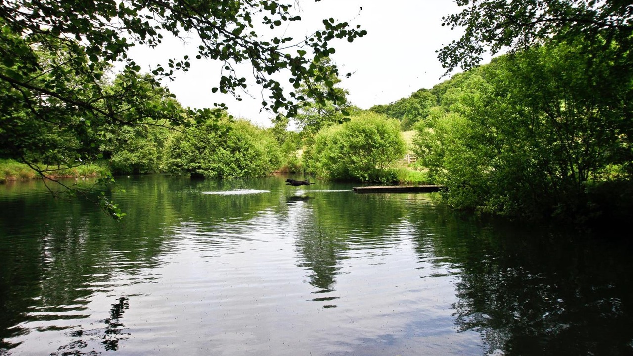 Photo of Outdoor in Bridport