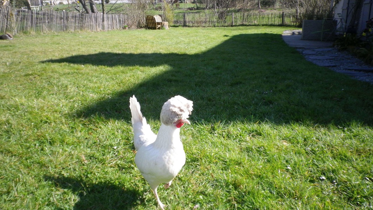 Photo of Outdoor in Avilly-Saint-Leonard