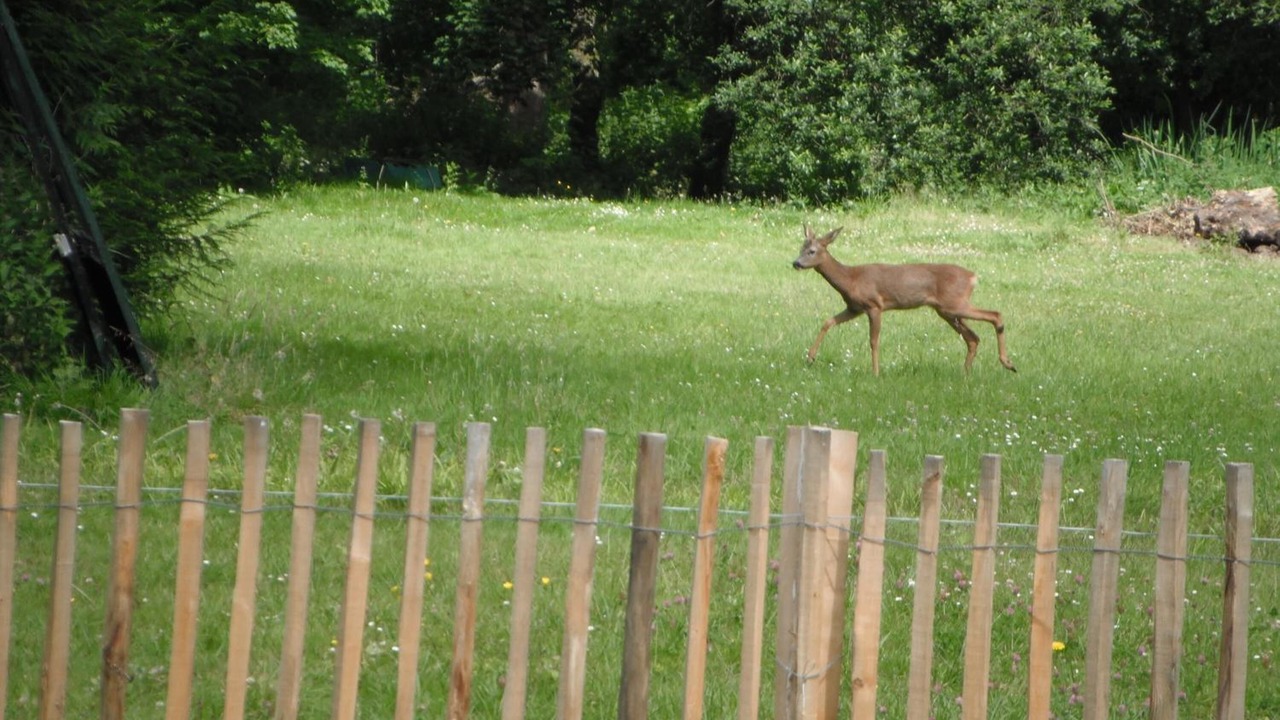 Photo of Outdoor in Avilly-Saint-Leonard