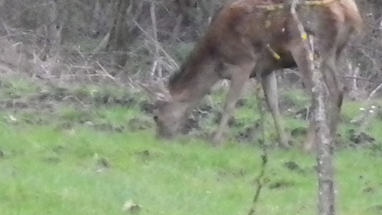 Photo of Outdoor in Avilly-Saint-Leonard