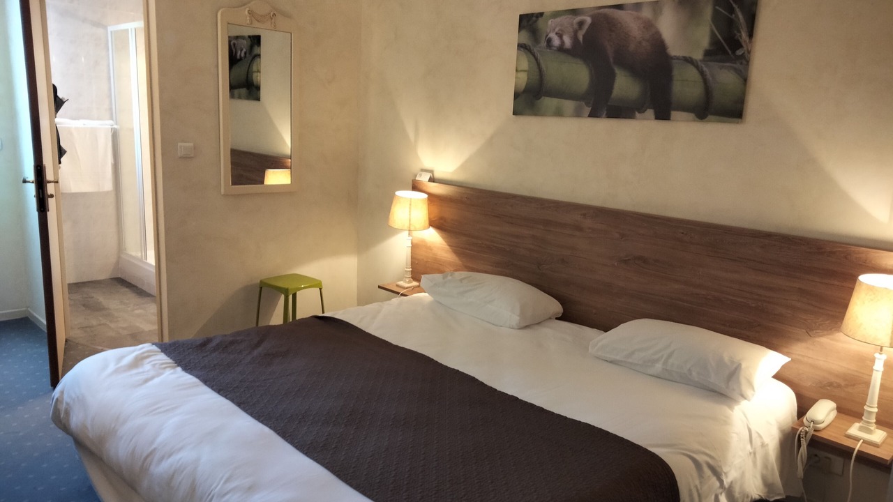 Photo of Bedroom in Chinon