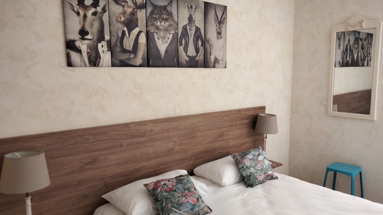 Photo of Bedroom in Chinon
