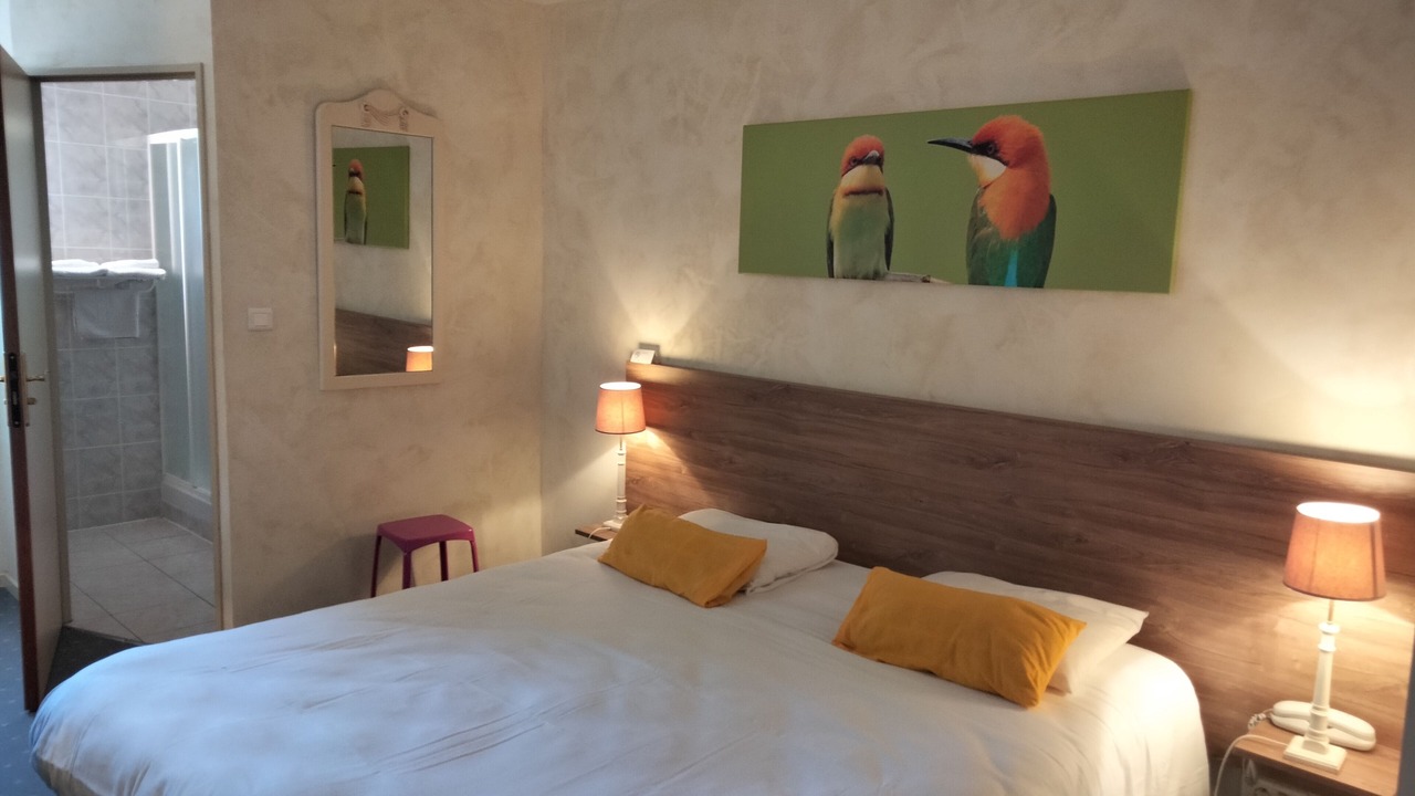 Photo of Bedroom in Chinon