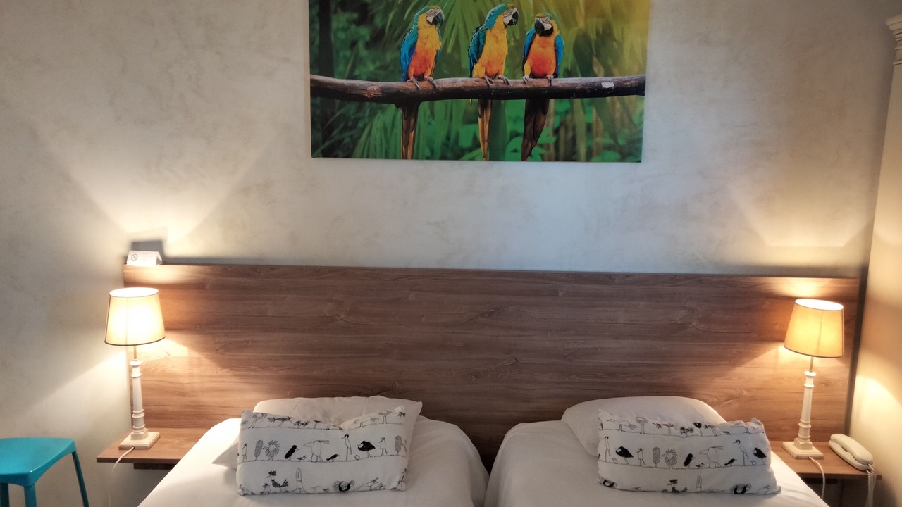 Photo of Bedroom in Chinon