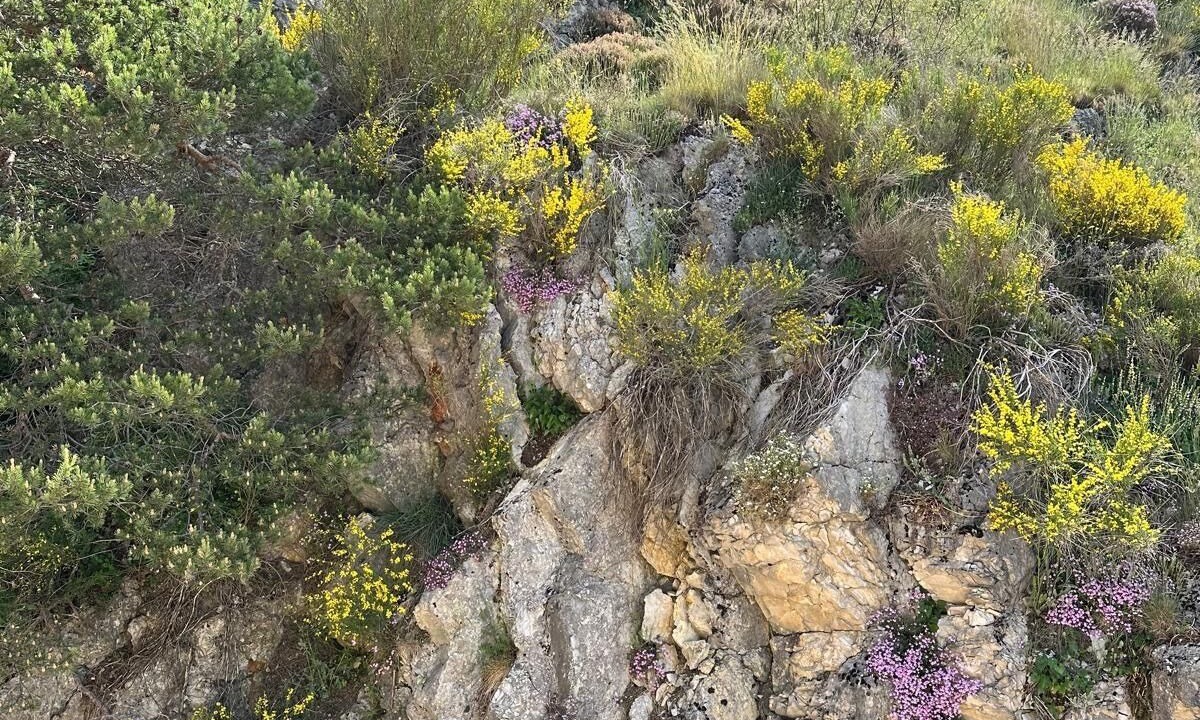 Photo of Bedroom in Seranon