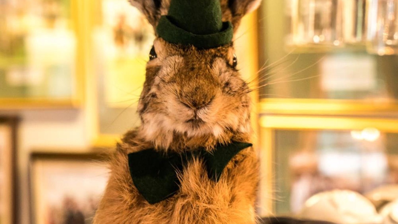 Photo of Others in Ossett