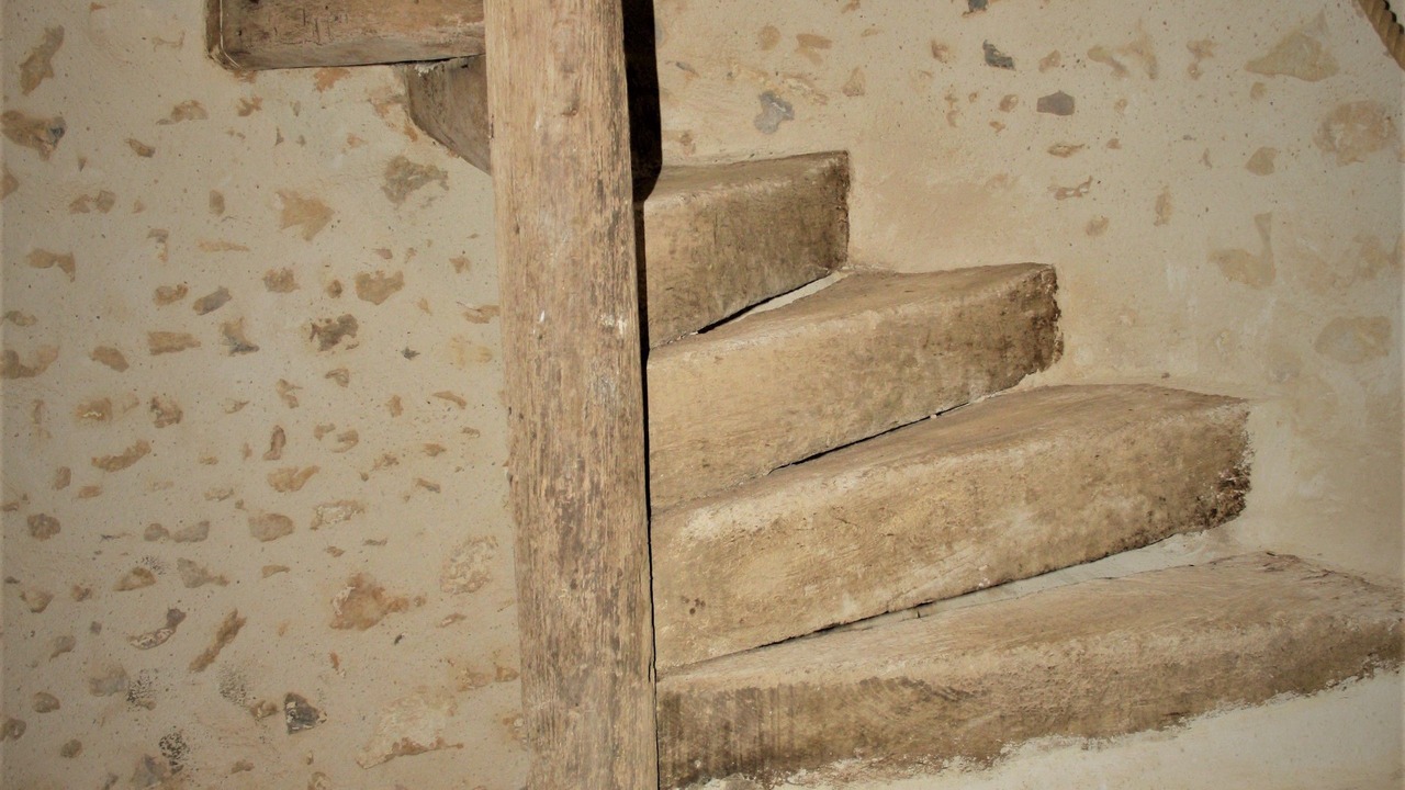 Photo of Others in Asnieres sur Vegre