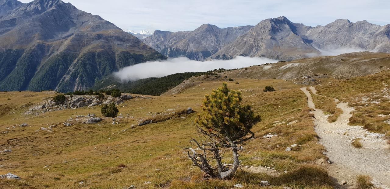 Photo of Others in Zernez