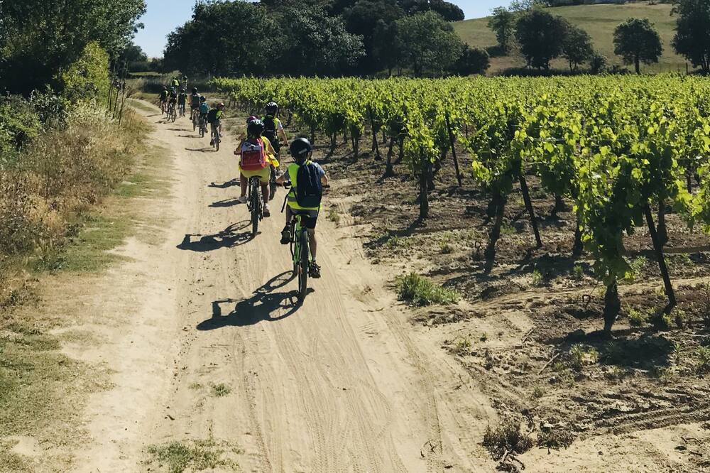 Photo of Outdoor in Montbazin