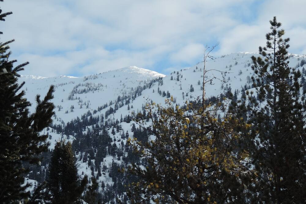 Photo of Others in Alpine Northeast