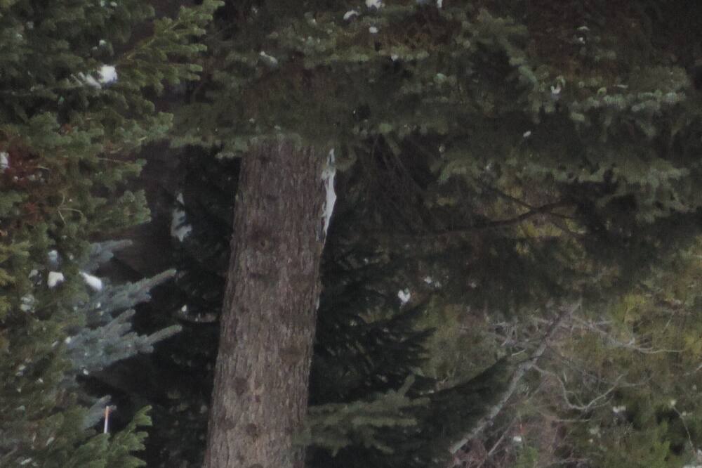 Photo of Outdoor in Alpine Northeast