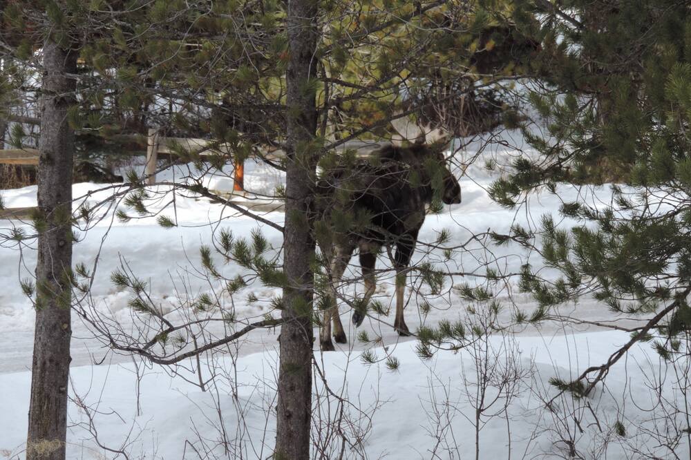 Photo of Others in Alpine Northeast