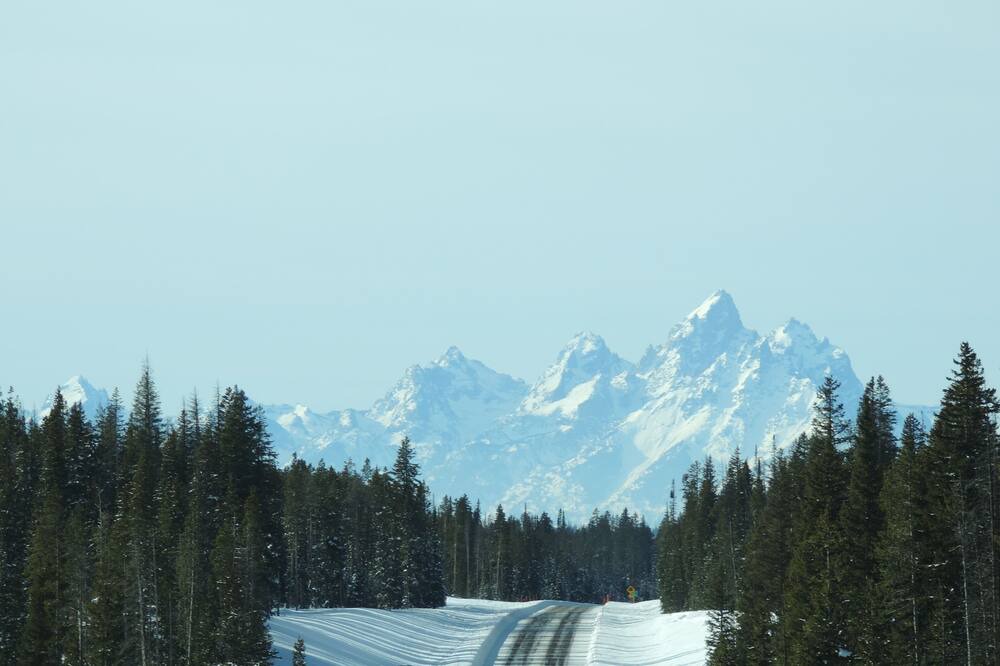 Photo of Others in Alpine Northeast