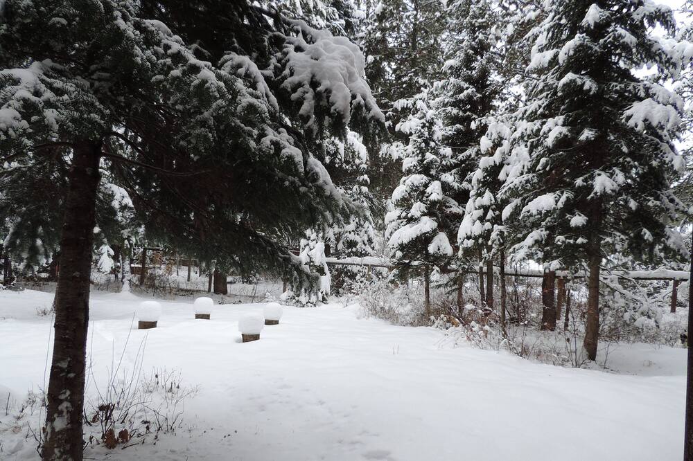 Photo of Others in Alpine Northeast