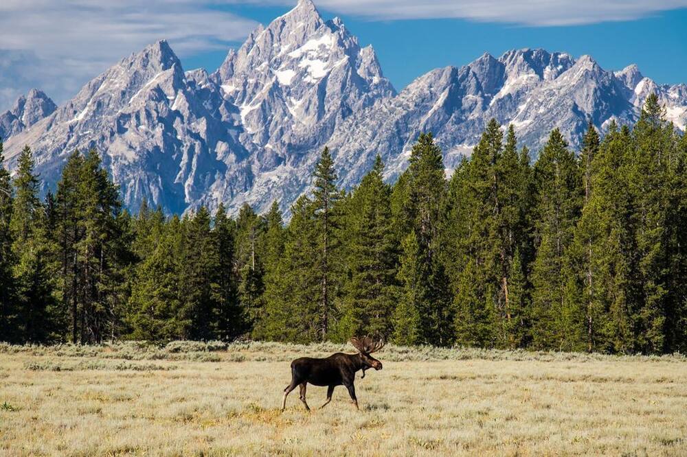 Photo of Others in Alpine Northeast