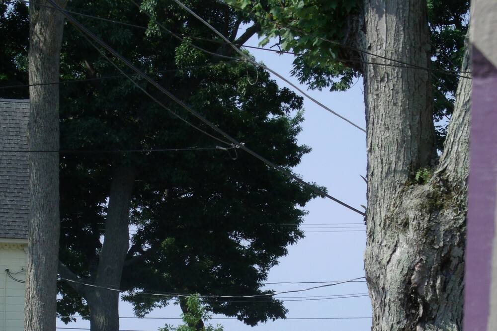 Photo of Outdoor in Thousand Island Park