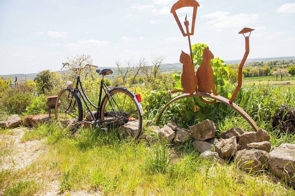 Photo of Outdoor in Les Herbiers