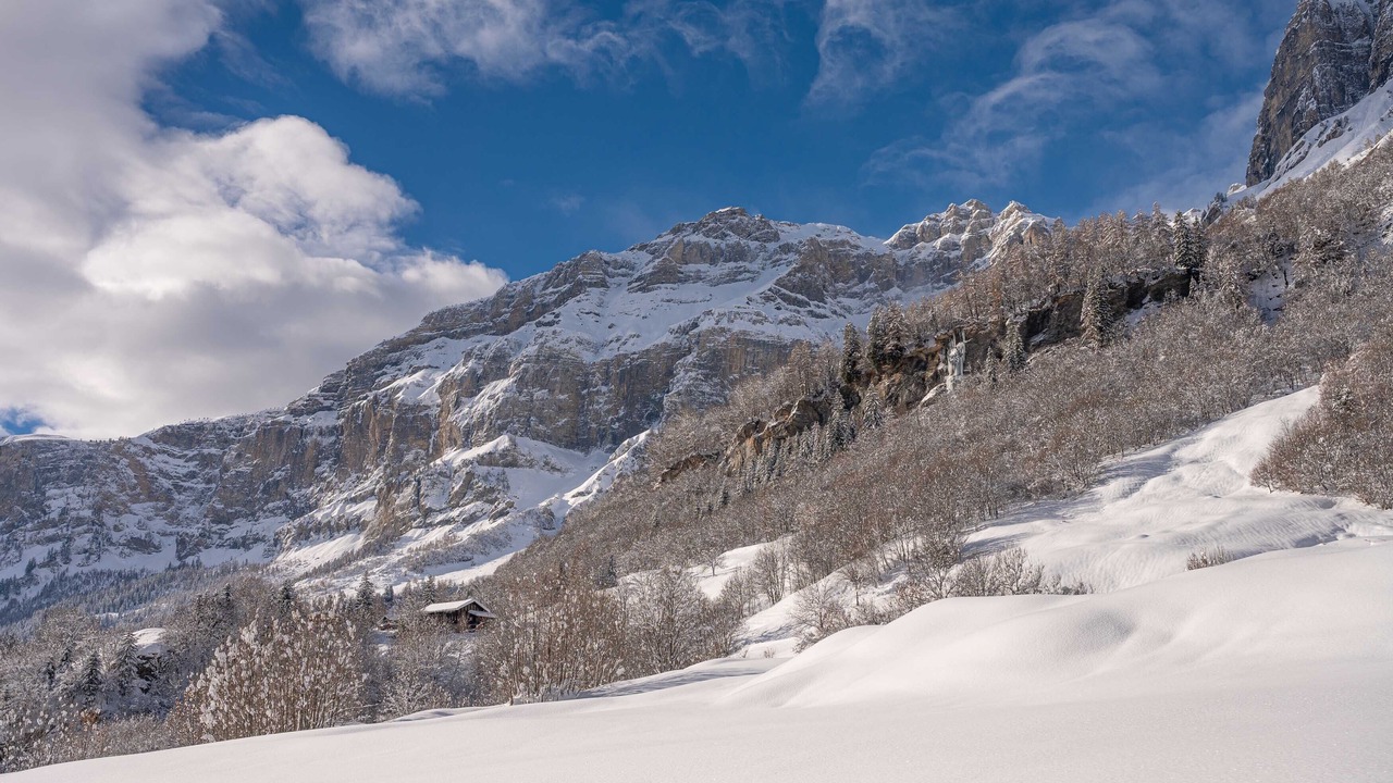 Photo of Bedroom in Leukerbad