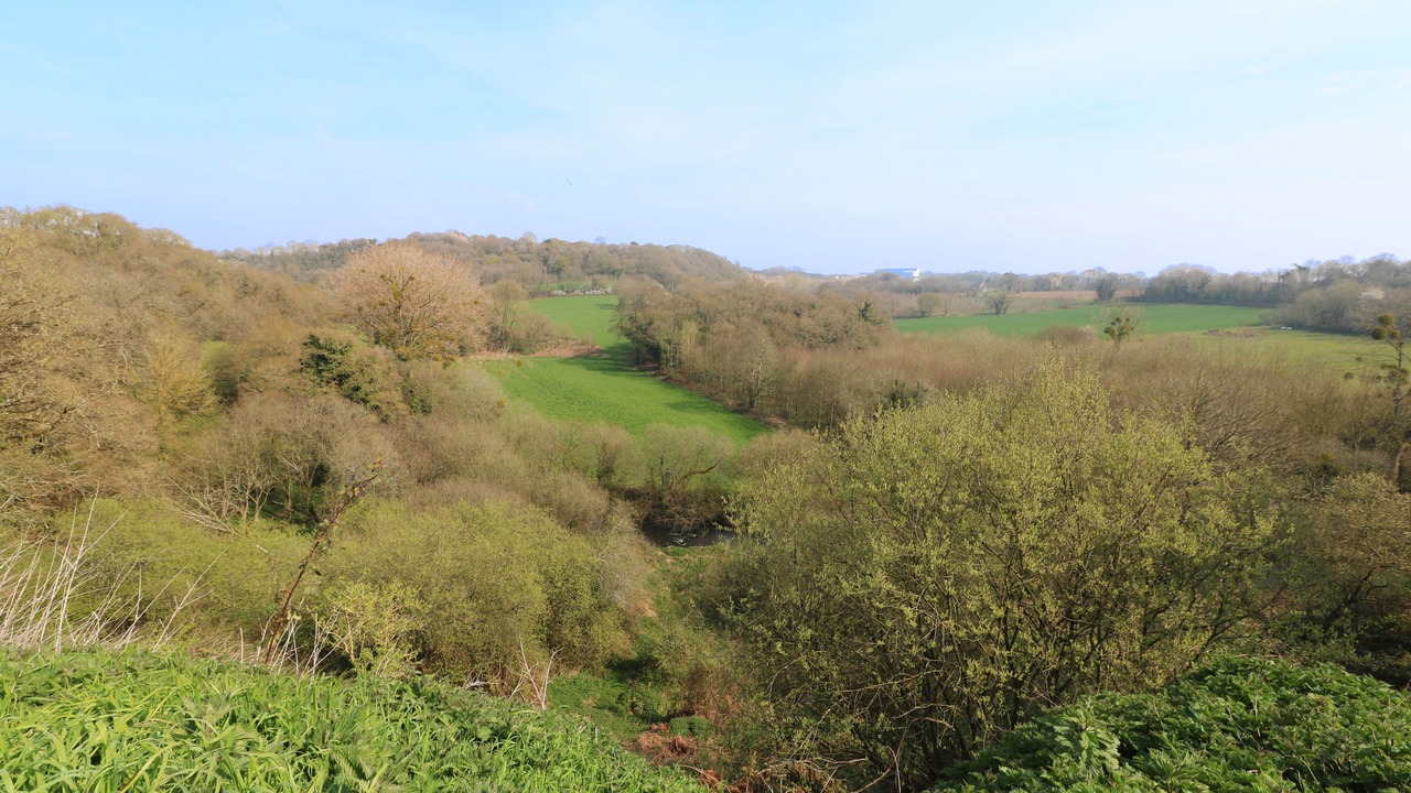Photo of Bedroom in Treverec