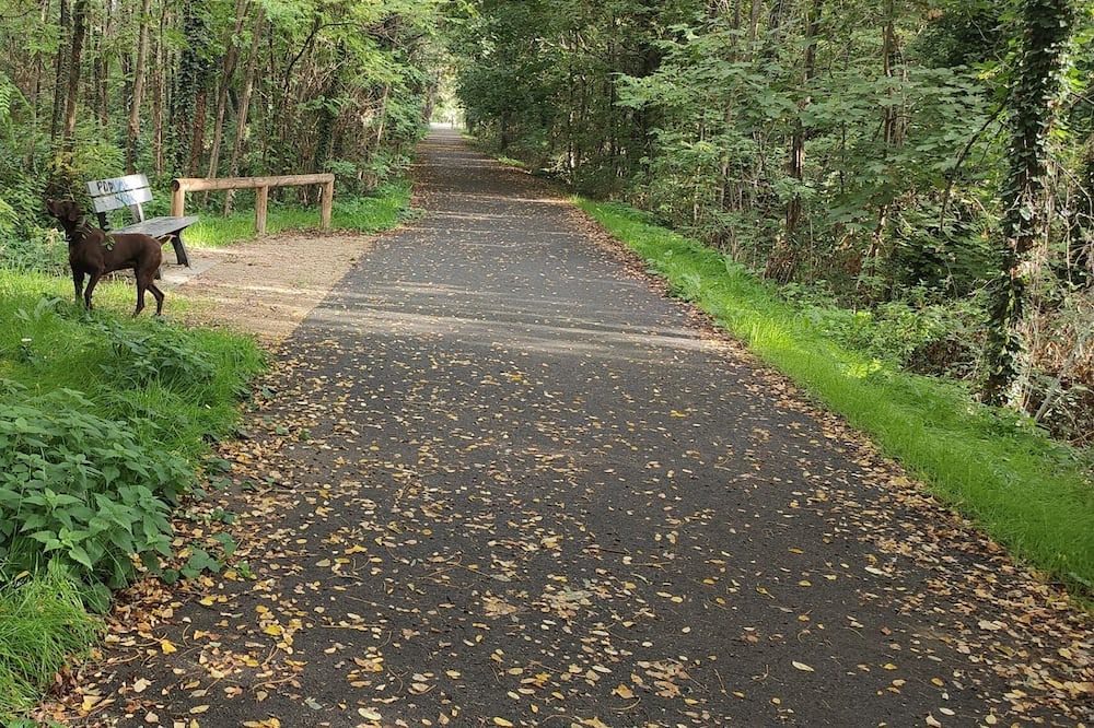 Photo of Outdoor in Crest