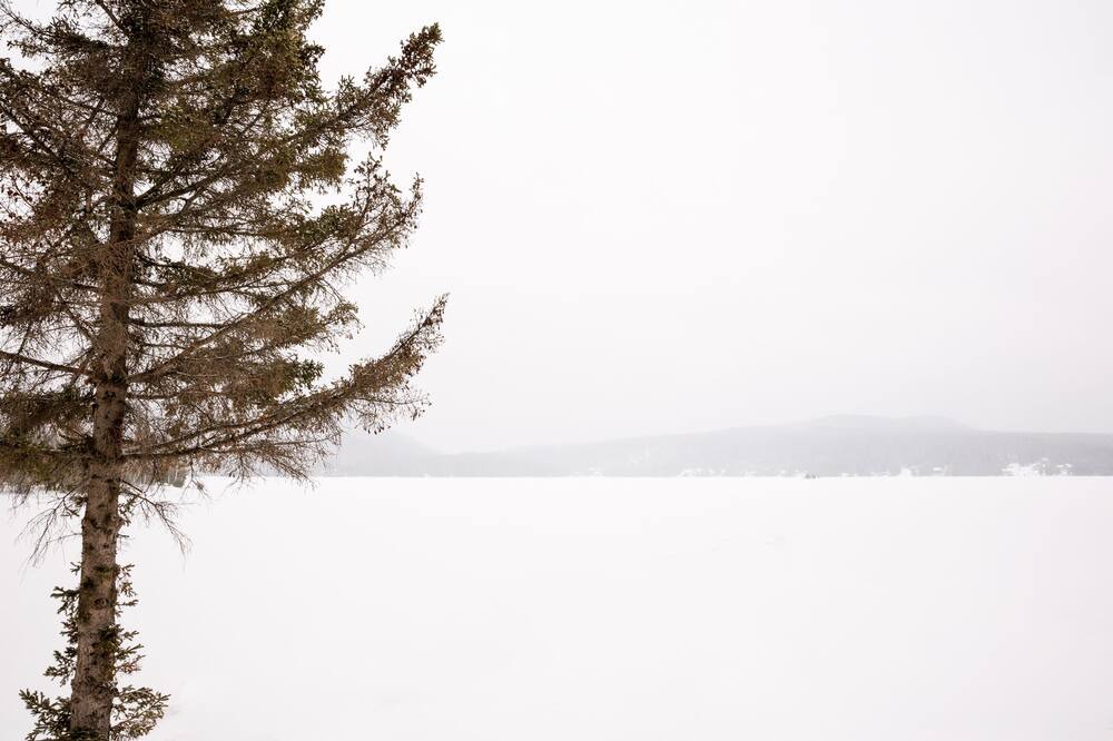 Photo of Others in Labelle