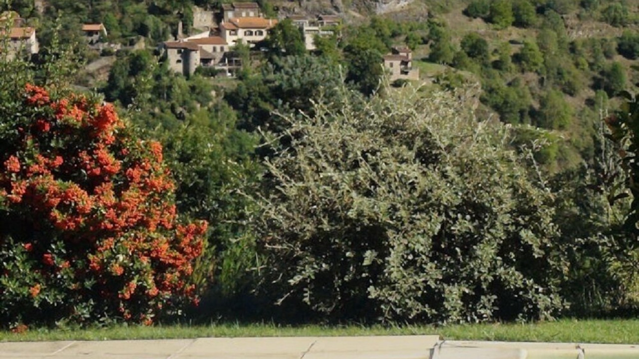 Photo of Outdoor in Villeneuve-dʼAllier