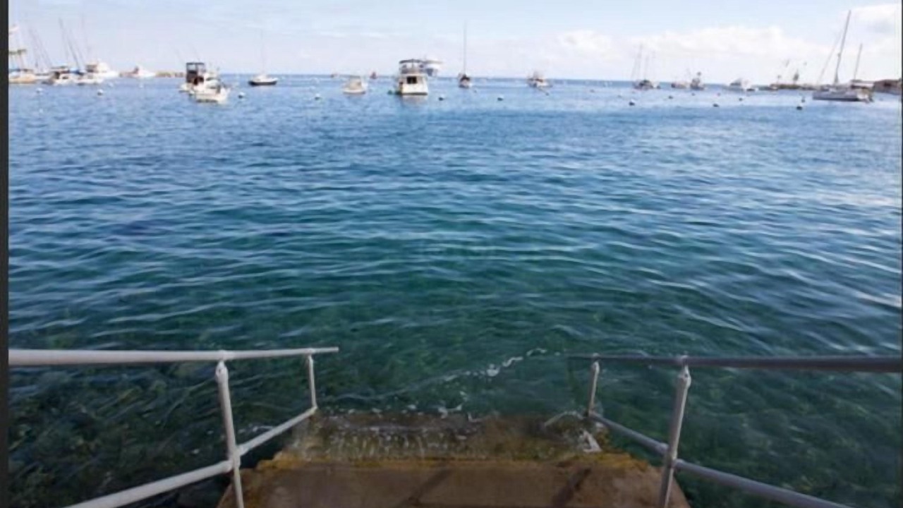 Photo of Others in Avalon