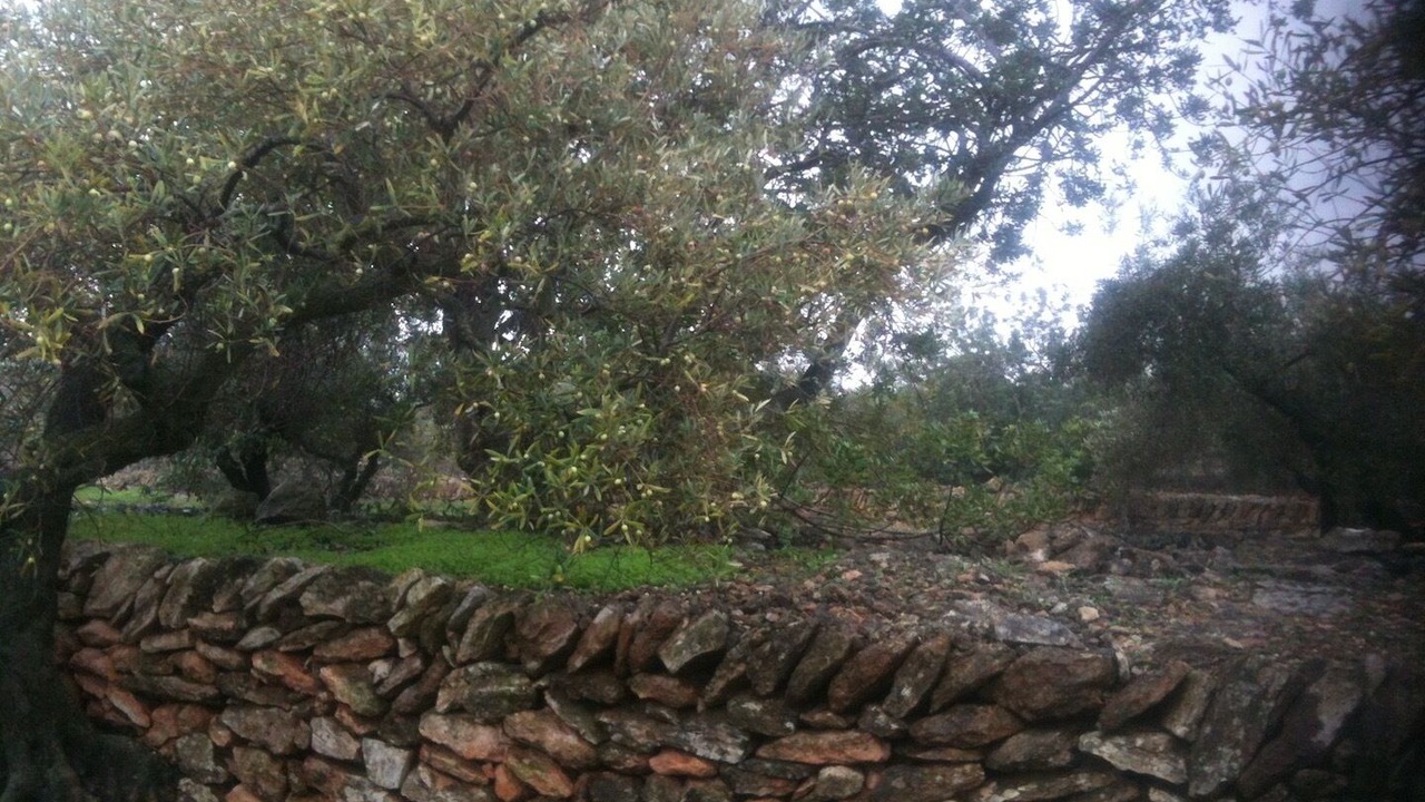 Photo of Outdoor in Tortosa