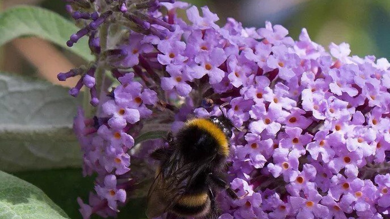 Photo of Outdoor in Burrough on the Hill