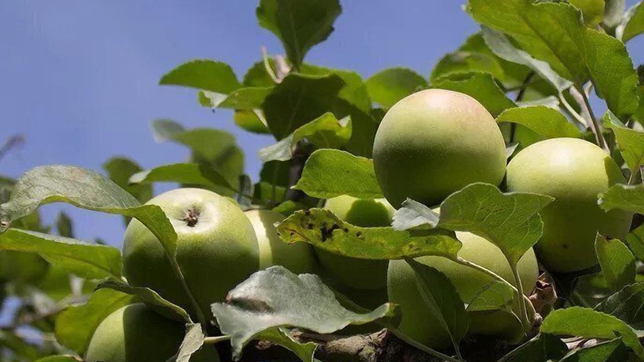 Photo of Outdoor in Burrough on the Hill
