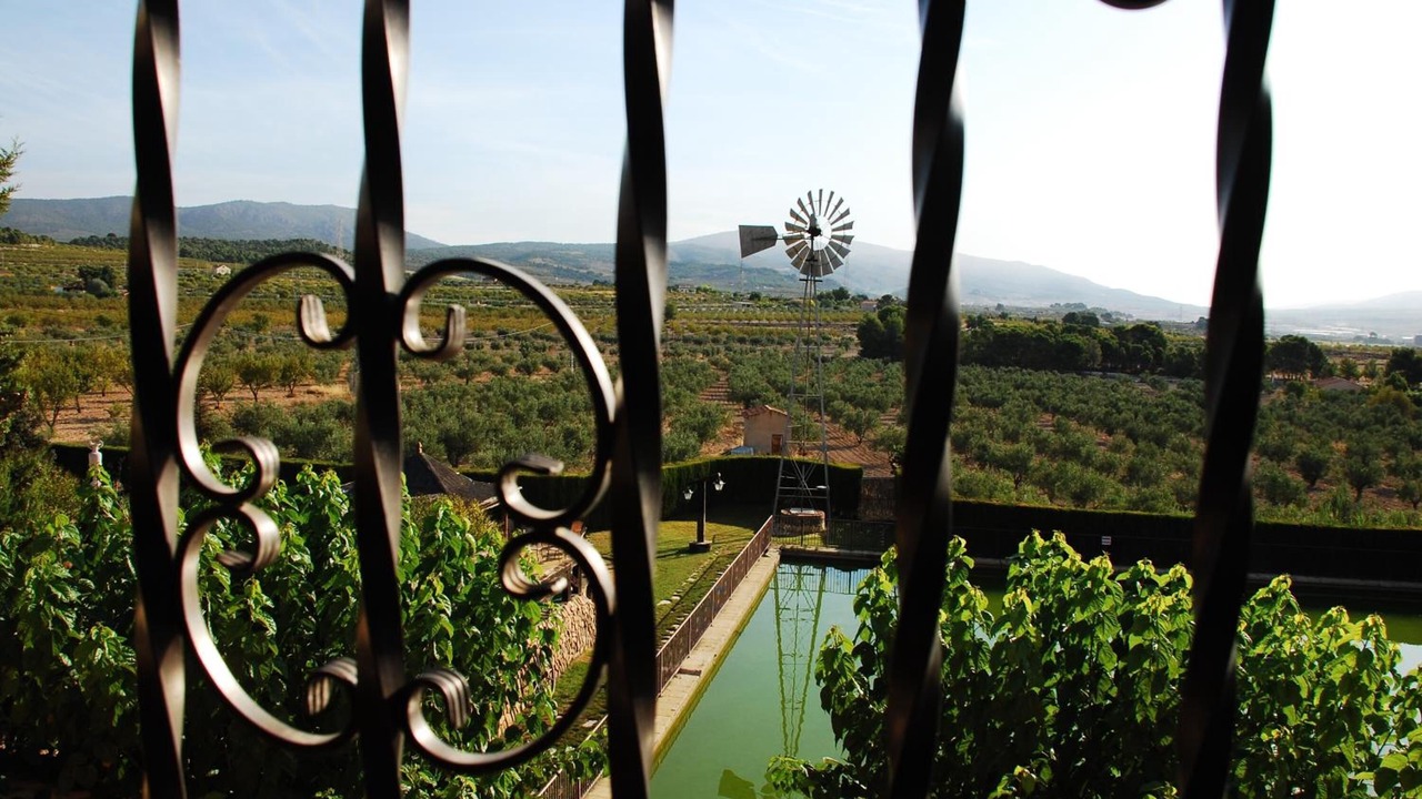 Photo of Patio Balcony in Castalla