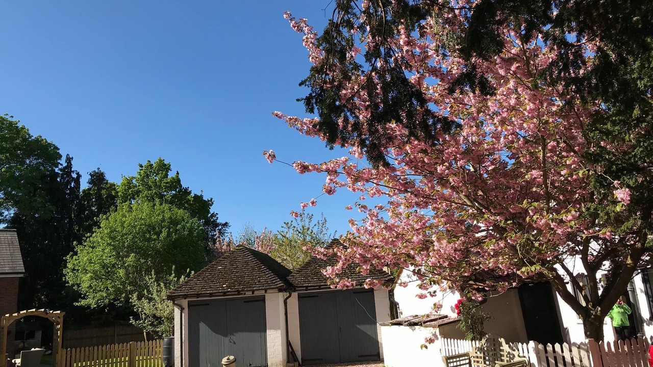 Photo of Outdoor in Esher