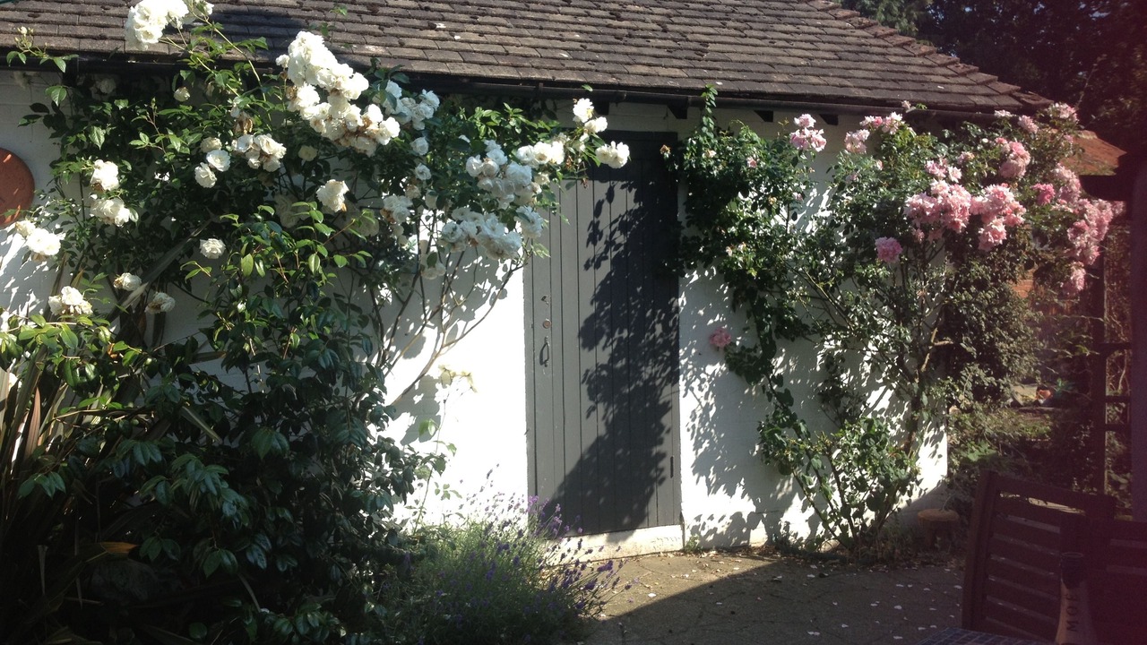 Photo of Outdoor in Esher