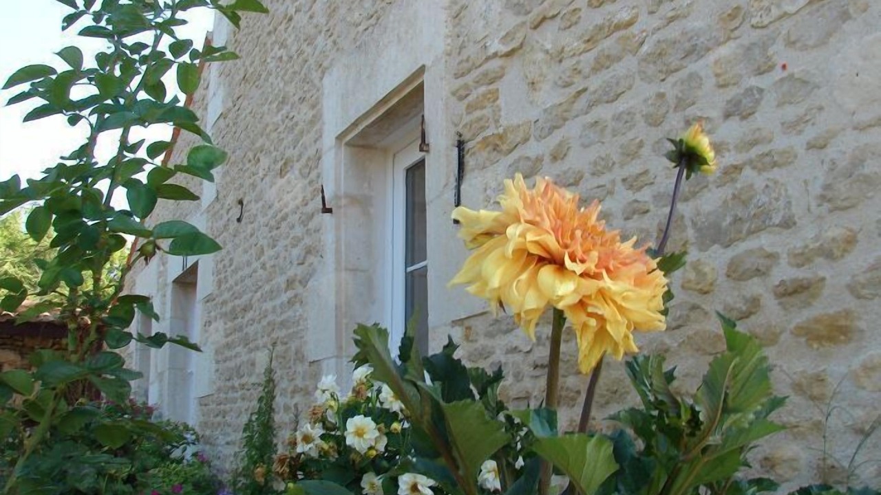 Photo of Outdoor in Saint-Pierre-le-Vieux