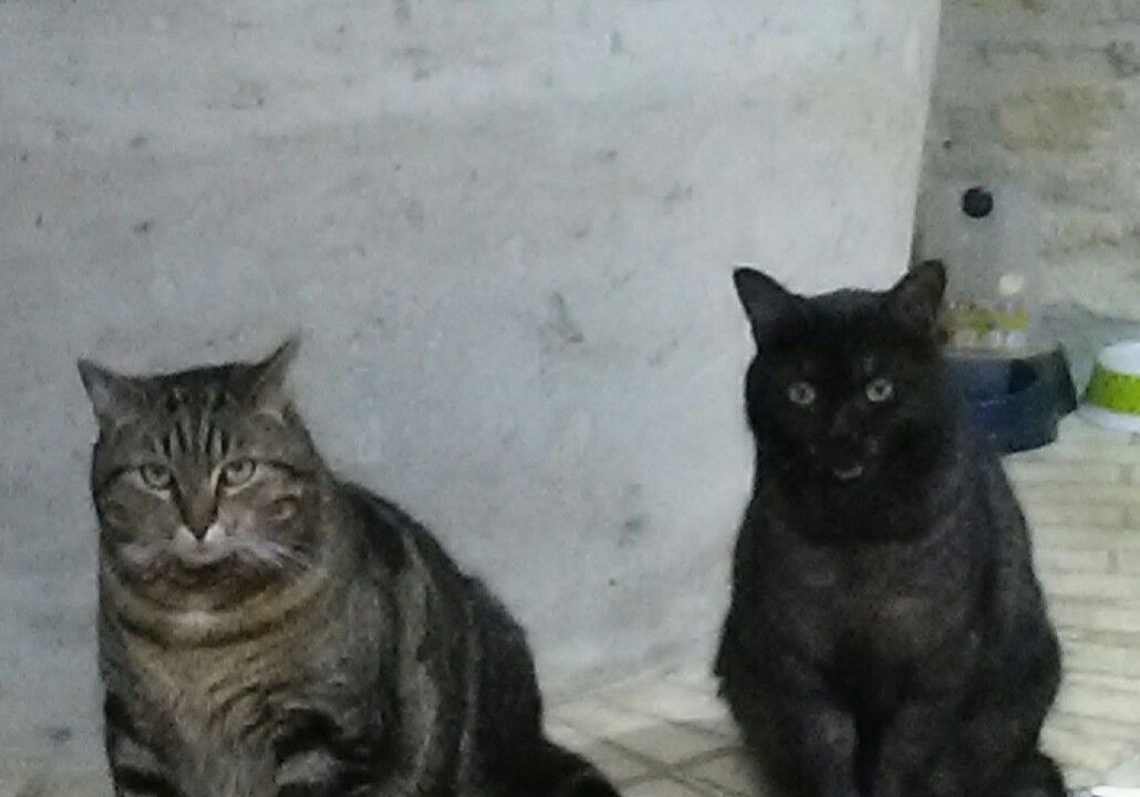 Photo of Others in Saint-Pierre-le-Vieux