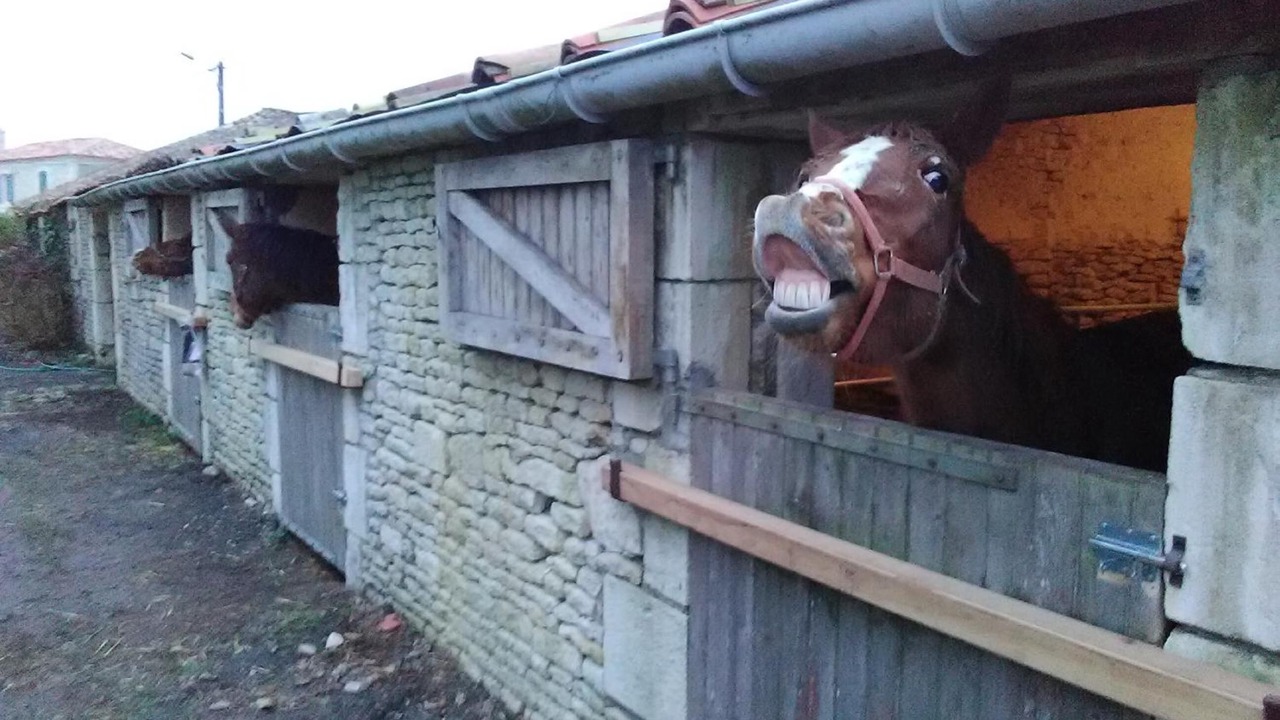 Photo of Outdoor in Saint-Pierre-le-Vieux