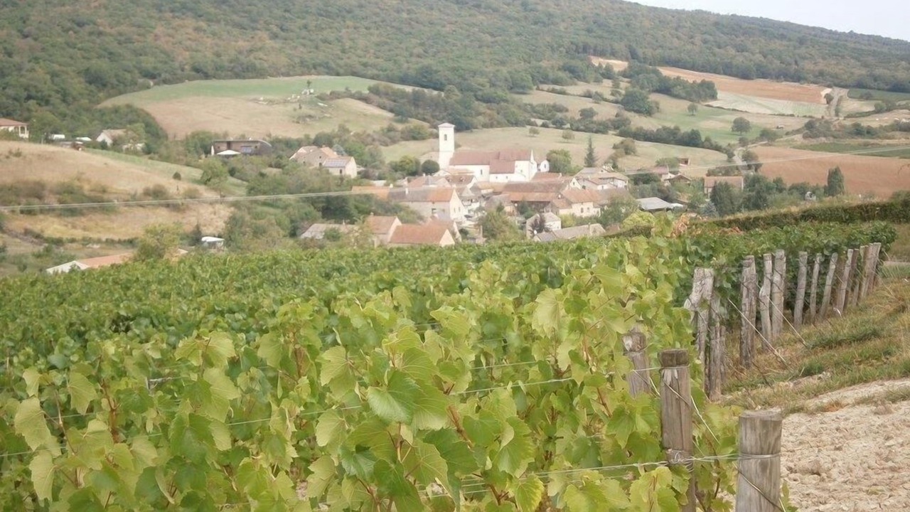 Photo of Outdoor in Sennecey-le-Grand